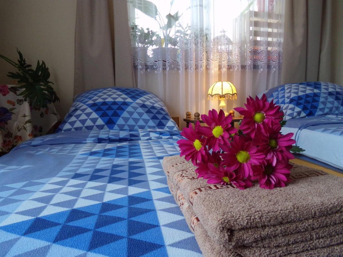 Agroturystyka U Willima Mechnica Esterno foto