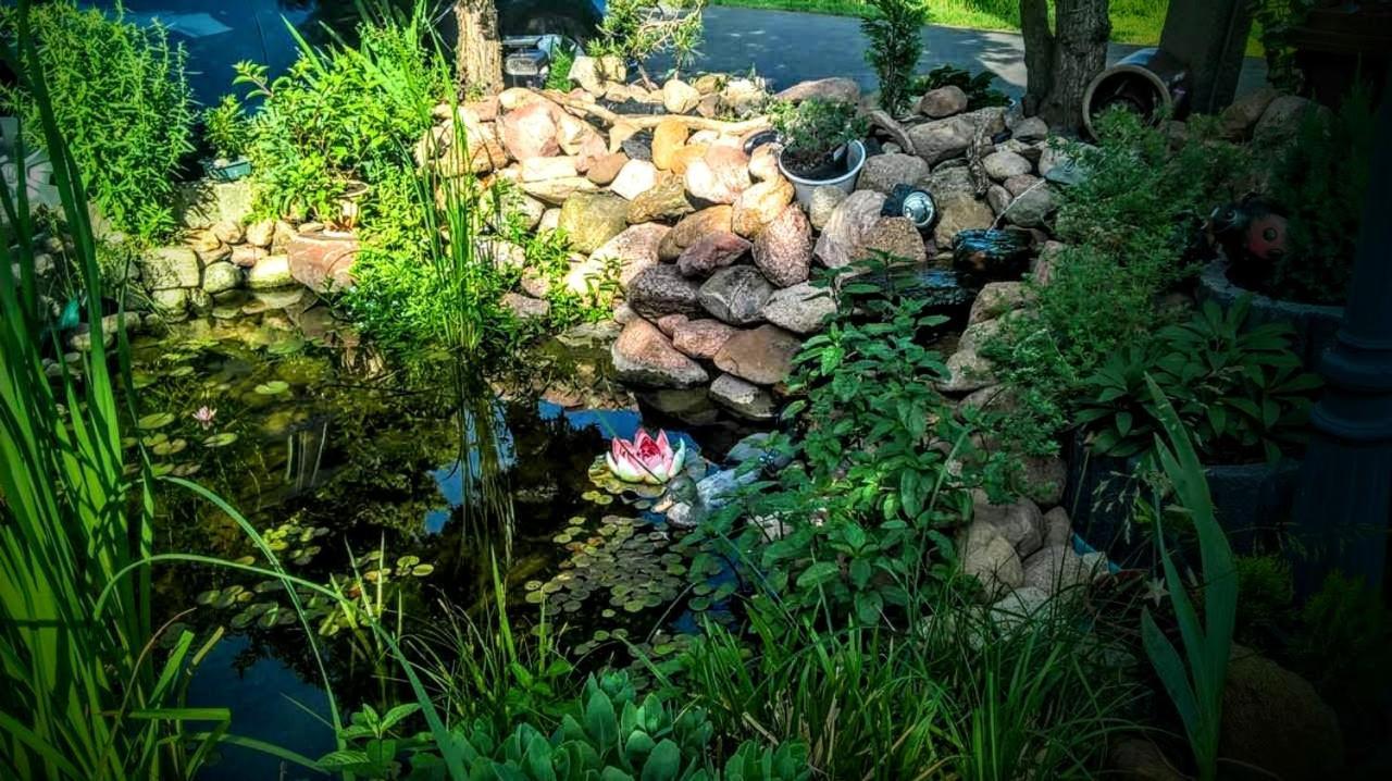 Agroturystyka U Willima Mechnica Esterno foto